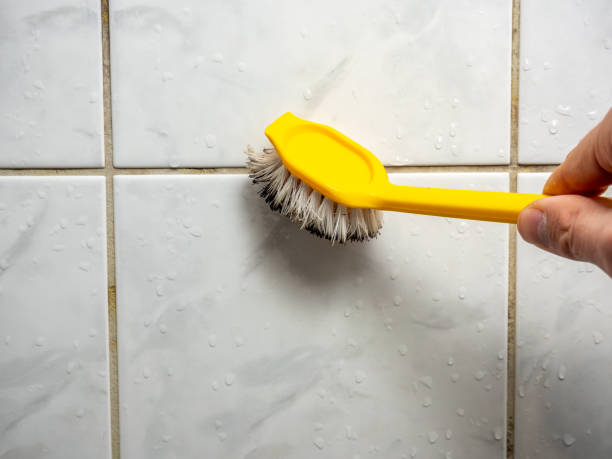 Best Mold Cleaning Services  in Lowes Island, VA