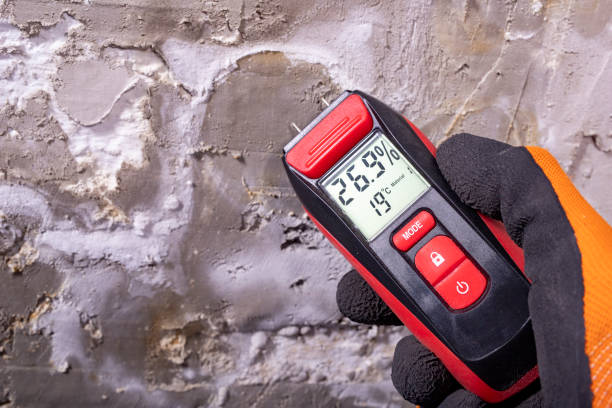 Best Commercial Mold Removal  in Lowes Island, VA