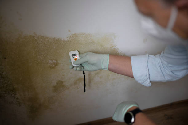 Best Mold Testing  in Lowes Island, VA